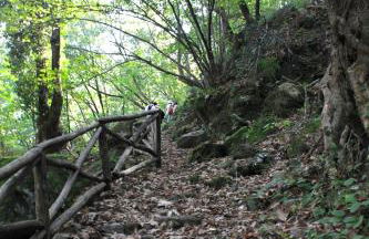 Moses Villa - Foto 47