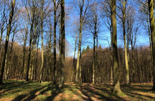 Ferienwohnung Liane - Foto 37