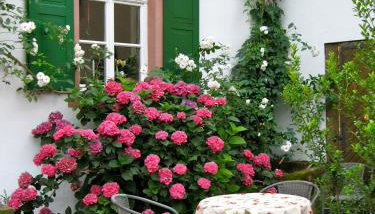 Ferienhaus Wagner - Foto 5