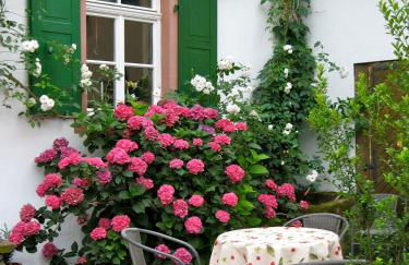 Ferienhaus Wagner - Photo 5