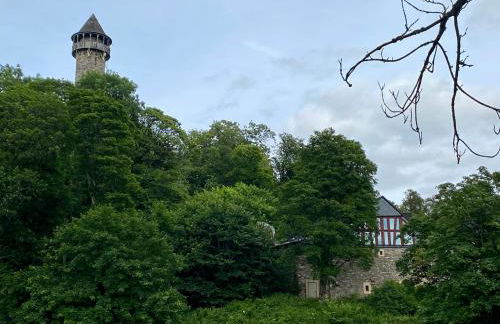 Ferienwohnung an der Wildenburg - Foto 12