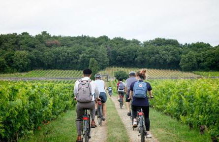 L'Ancienne Distillerie - Foto 67