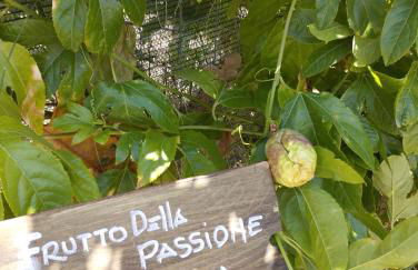 CASA VACANZE FONDACO DI SCILLATO - Foto 38