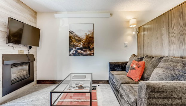 Lift House Lodge, Pet Friendly, Premium Studio Condo - Foto 2, Imagen principal