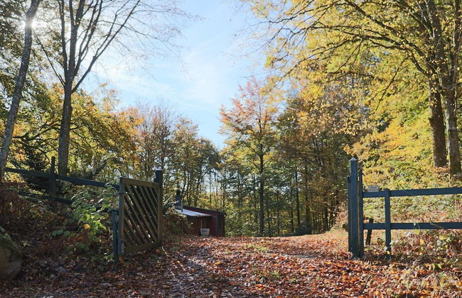 4 Person Holiday Home in Skanes-fagerhult-by Traum - Foto 23