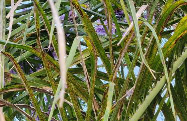 The most breathtaking Lake and Mountain View - Foto 6