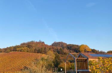 Corte D'Aibo - Photo 16