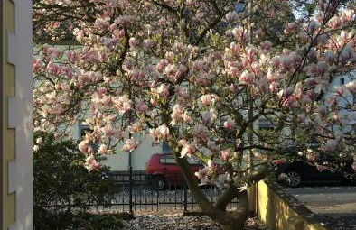 Beautiful apartment in a historic villa - Photo 26