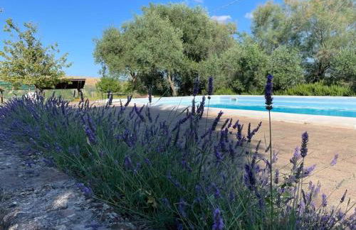 Monte Pagliaio - Foto 26