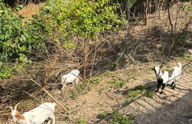 Del Casel Apartment - Foto 23