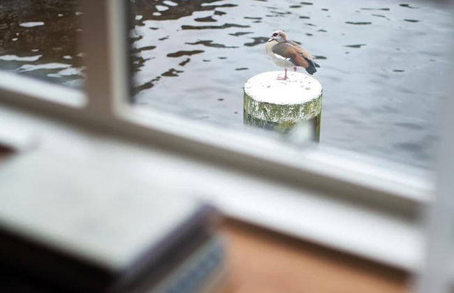 SWEETS - Kinkerbrug - Foto 17