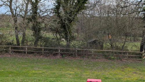 Tequila Sunrise - Foto 4