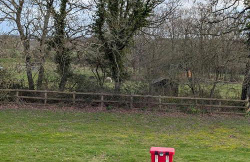 Tequila Sunrise - Foto 4