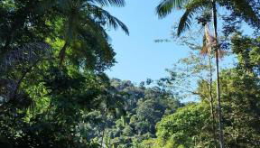 casa da mata - Foto 3