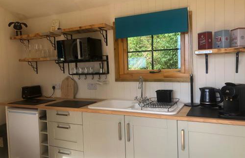 Cosy Shepherds Hut, heating, Hot Tub, WiFi and magnificent view - Foto 3