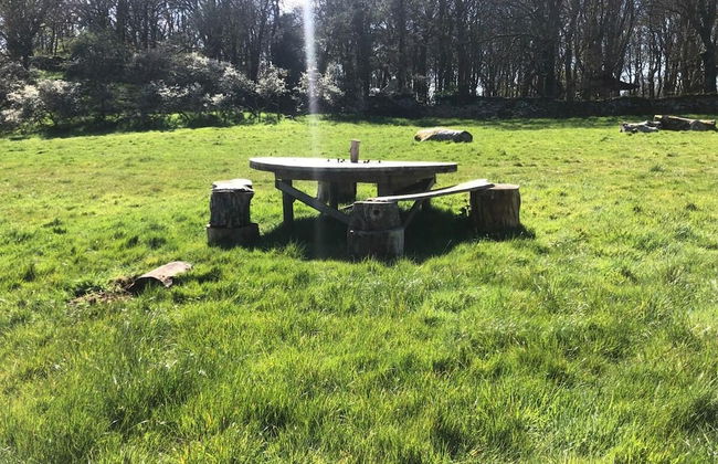 Elm - Bell Tent 2-4 Person Anglesey, North Wales - Photo 33