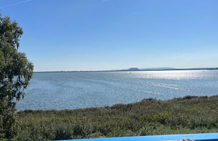 Ferienwohnung direkt am Steinhuder Meer - Foto 57
