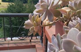 La Torretta - Foto 59