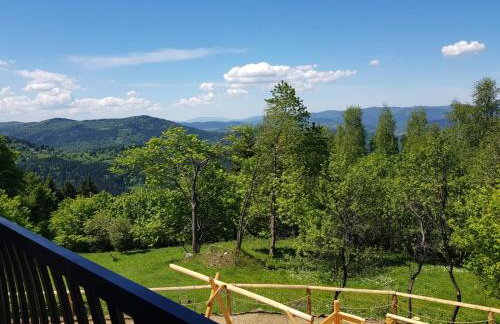 Surzynówka - Foto 21