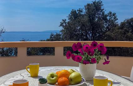 Apartments MULOBEDANJ - Foto 16