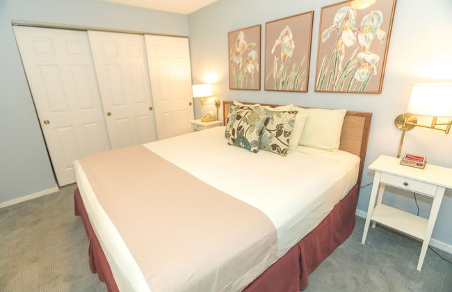 The Grey Gull - Foto 51