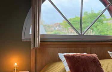 La sauvagine les pieds dans l'eau - Foto 48