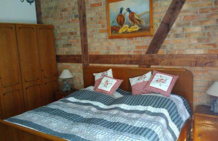 Cztery Pory Lasu - Foto 2