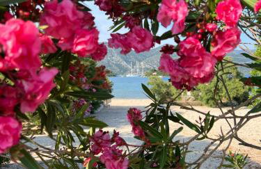 Apartmani Tonko - Foto 9