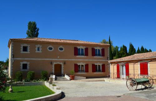 Luciole des Alpilles - Foto 3