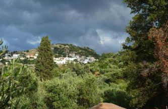 Ellinospito - Photo 18