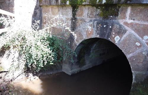 L'Orchidée - Photo 10