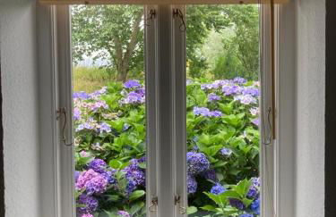 Marie Carla - Foto 34