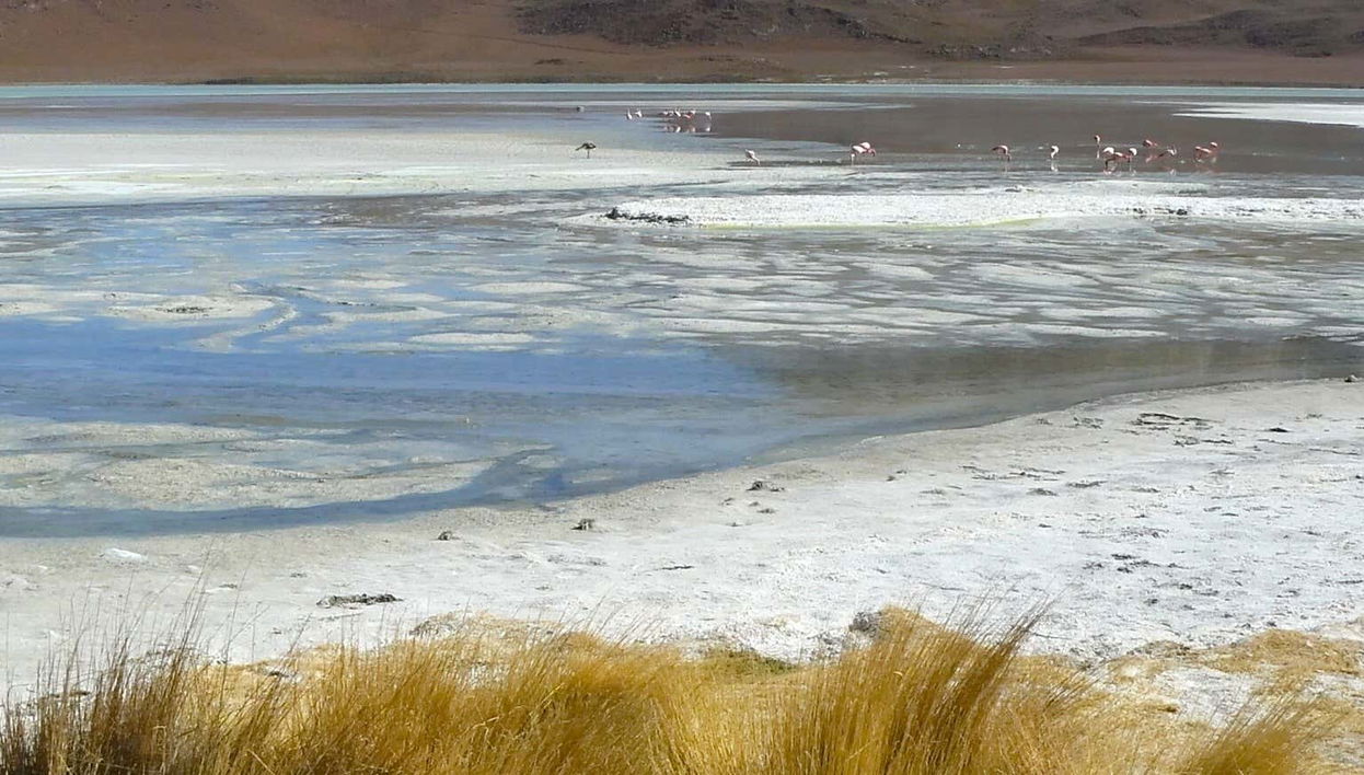 Atacama Salt Flats Tour