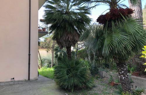 APPARTAMENTO GABBRO-ROSIGNANO MARITTIMO - Foto 18