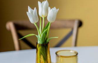 Laura‘s Heimat - Foto 18