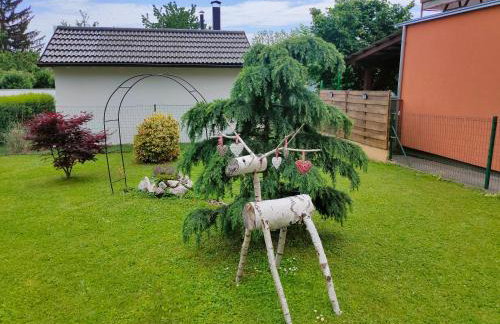 Apartman Borik - Foto 17