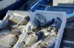 L' Isola di Bacco - Foto 10