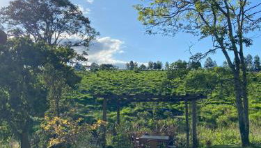 Field of Dreams cabin - Foto 5