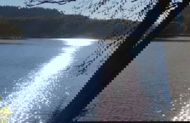 Sunshine Comfortable Holiday Residence - Photo 10