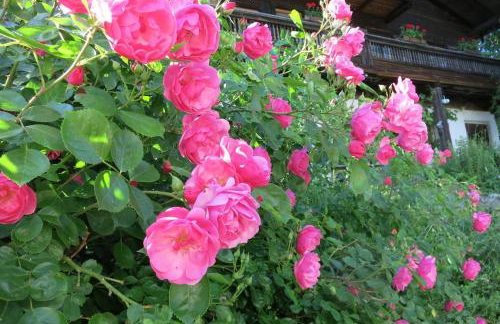 Gruböder Bauernhaus - Foto 13