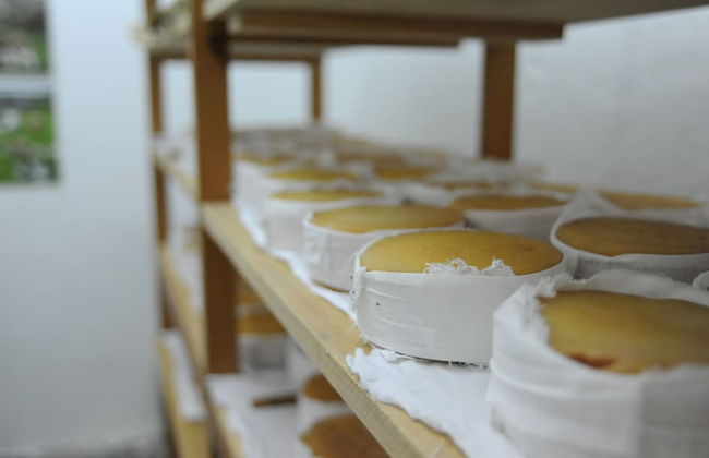 Vumba - The Bue-Maria Suite - Foto 27