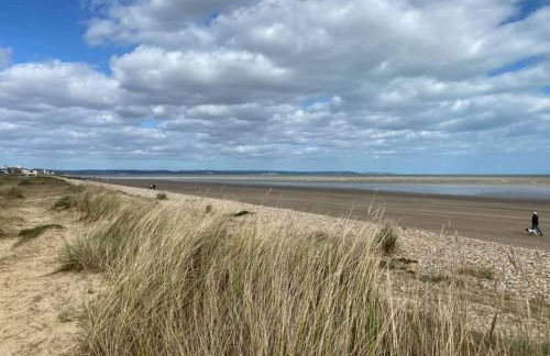 Sea Shells - Foto 25