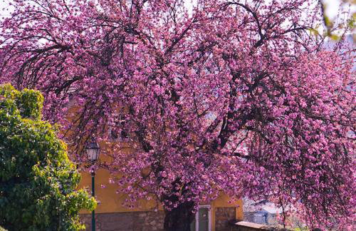 Pro-Apartments Croatia - Foto 55