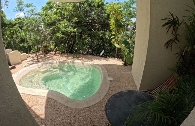 Bosque Geométrico - Foto 39