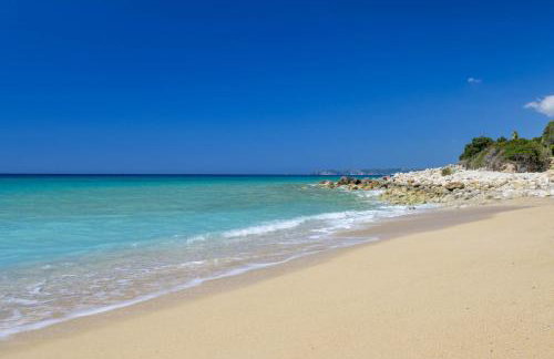 Tree of Life - Foto 40