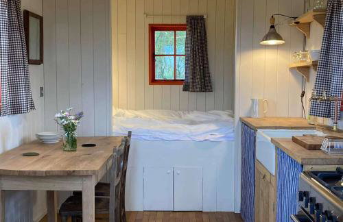 Secluded off grid Shepherd's Hut - Photo 7