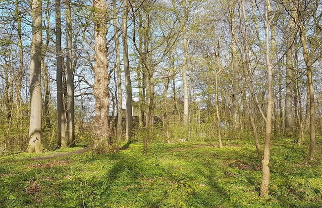 Seaside Serenity in Jaegerspris-by Traum - Foto 11