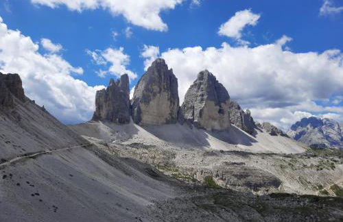 Ama Dolomiti - Residence - Photo 62