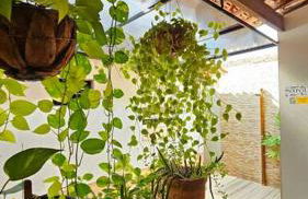 Ôxente que lugar arretado! - Photo 25