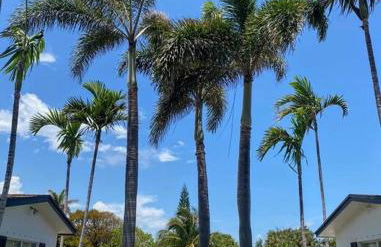 Villa#4 House in Pompano at 4 minutes from the beach! - Foto 8